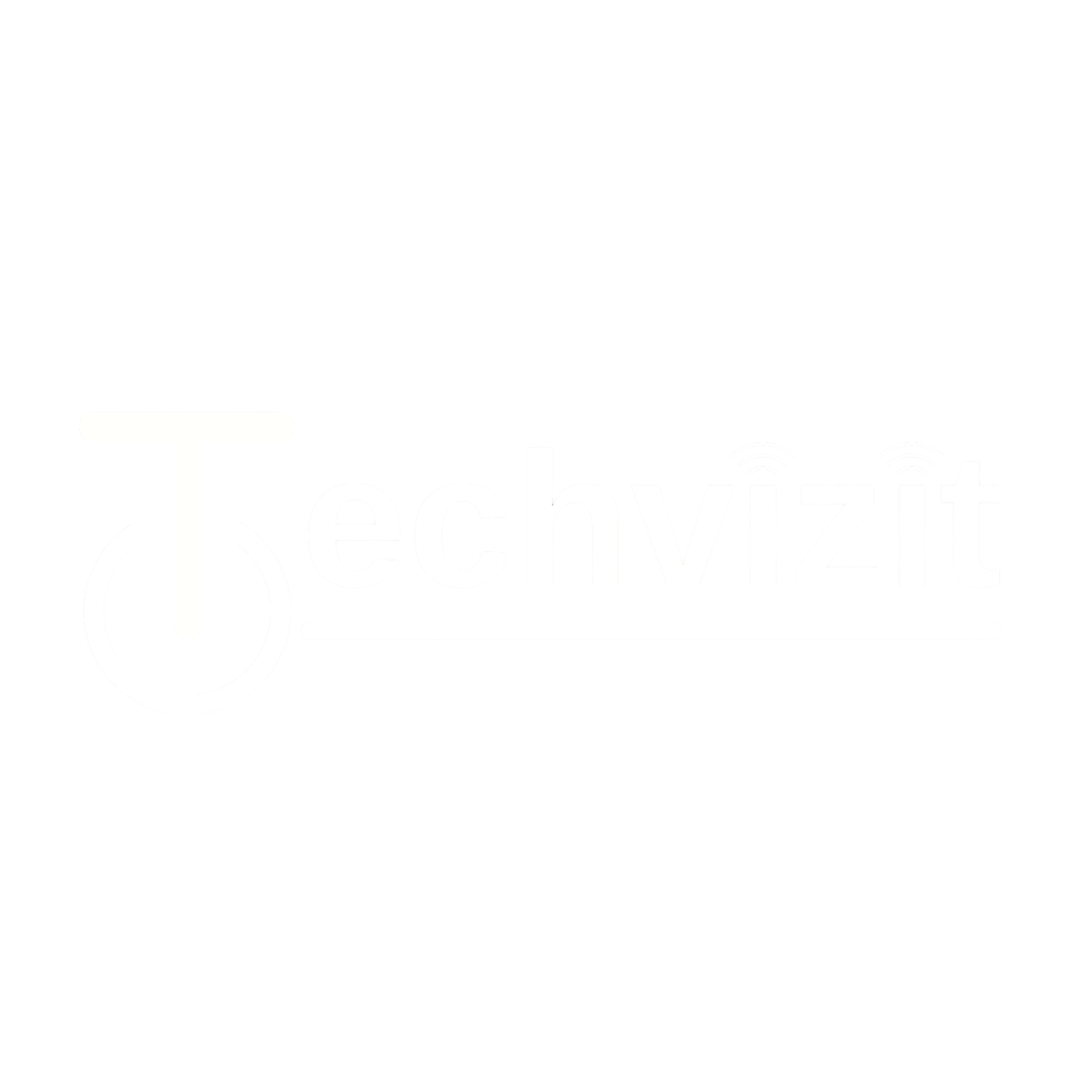 TechVizit Logo